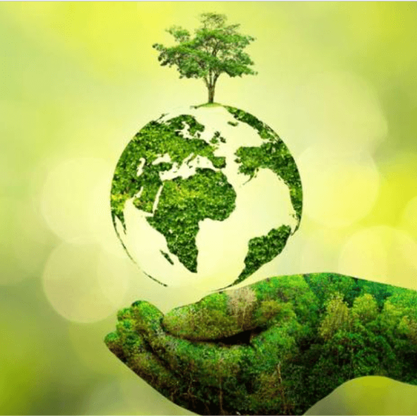 YoungHeart Everyday Luxury